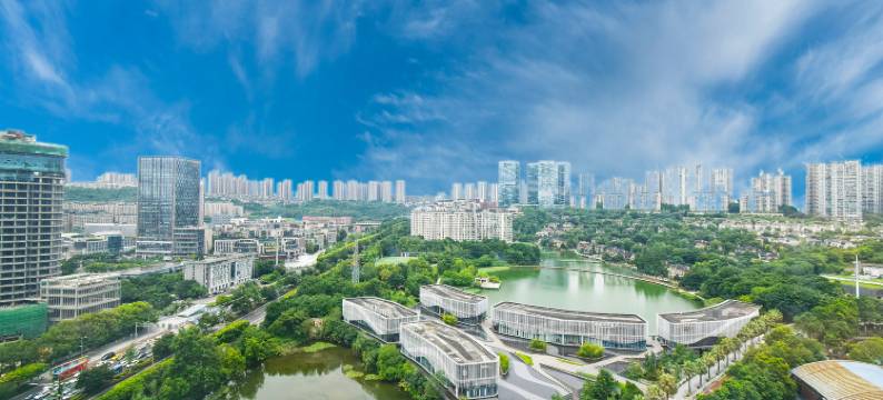 重庆戴维斯商务酒店(协信星光天地和睦路地铁站店)图片