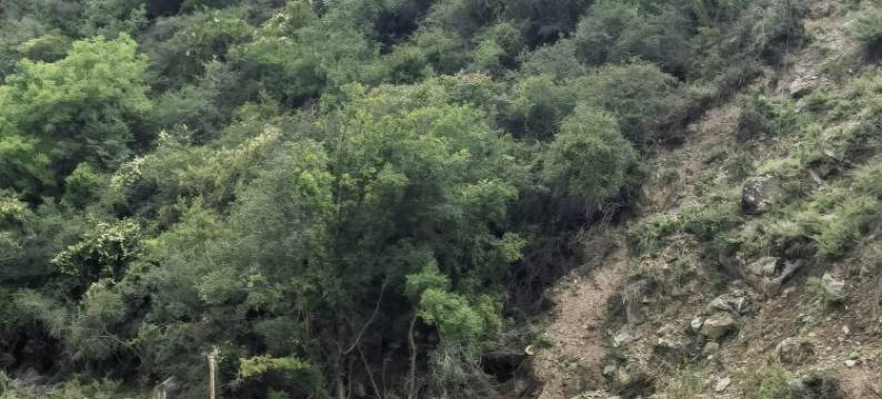 松藏山居民宿图片