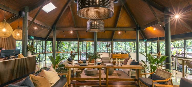 戴因树雨林生态旅馆(Daintree Eco Lodge)图片
