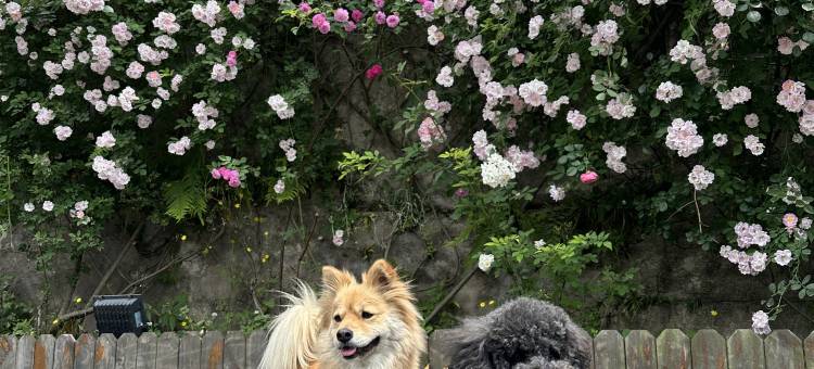 清镇引舍故里康养度假民宿(红枫湖景区店)图片