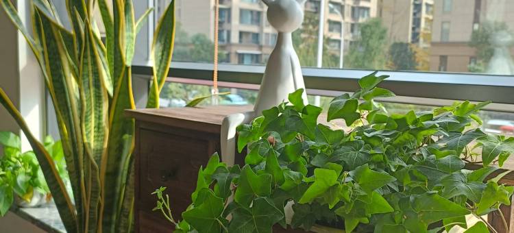 花间栖城市轻奢智能美宿(方特东方神画店)图片