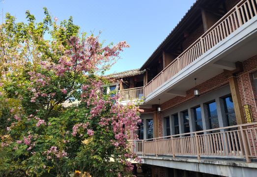 Huangyao Flowers Ocean Hotel Hotel Overview