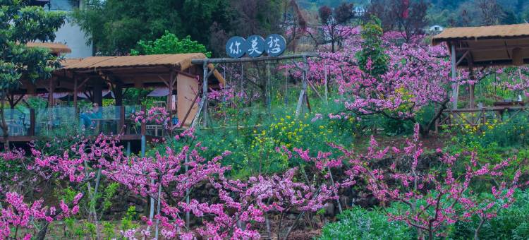 成都顺子收荒匠民宿(龙泉山风景区店)图片