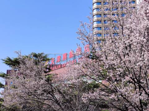天津赛象酒店(奥体中心智慧山店)图片