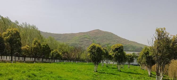 棣花之都青年公寓图片