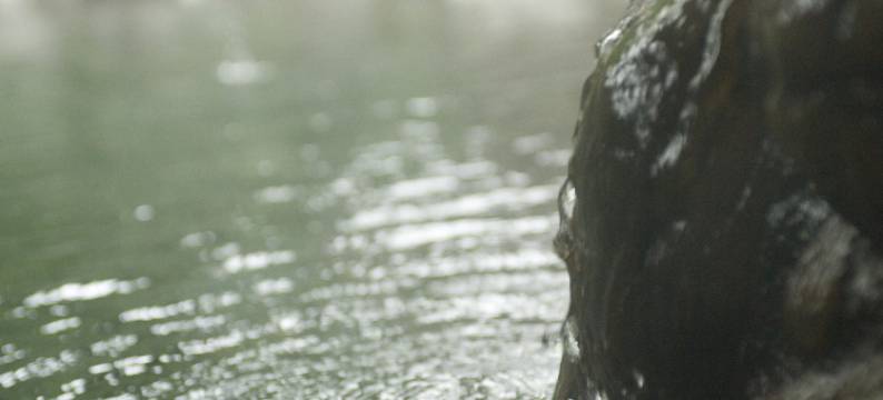 旅亭田乃仓(Ryotei Tanokura)图片