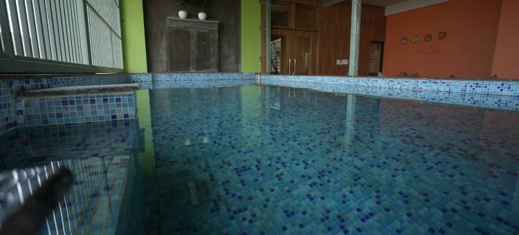 闪耀旅馆(Hotel Sparkle Inn Just 400 Meters from Udaipur Railway Station)图片