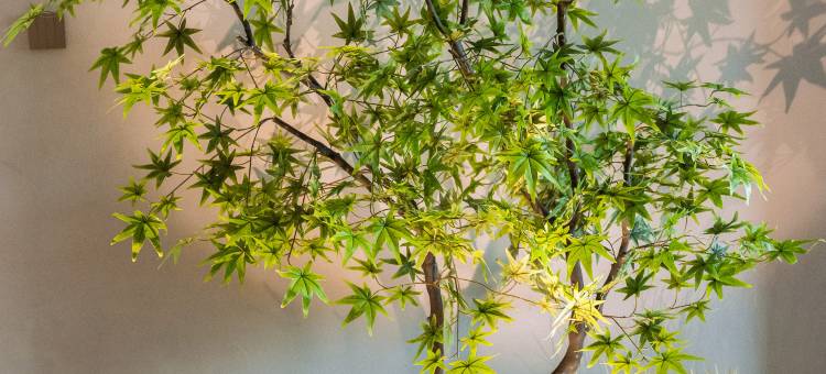 朵亚智能酒店(丰镇高铁站店)图片