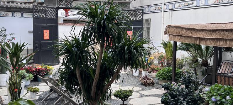 大理栖渐晚民宿(洱海才村店)图片