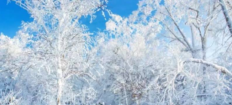青云溪畔林海听雪｜Cozy Inn暖居别墅(亚布力滑雪旅游度假区店)图片