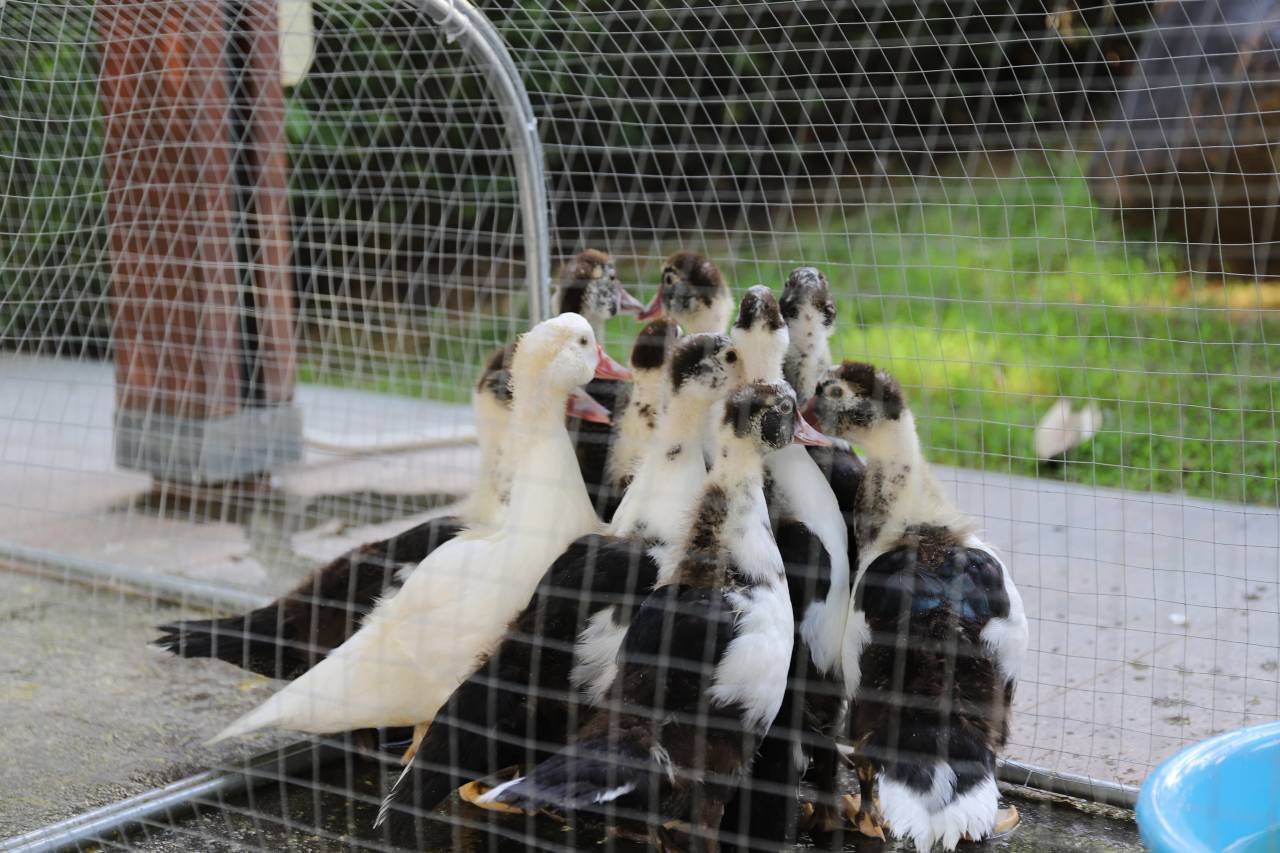 海南清水湾乌兰度假酒店图片