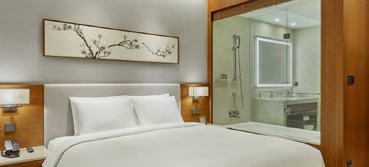 天空花园酒店首尔板桥中心店(Hotel Skypark Central Seoul Pangyo)图片