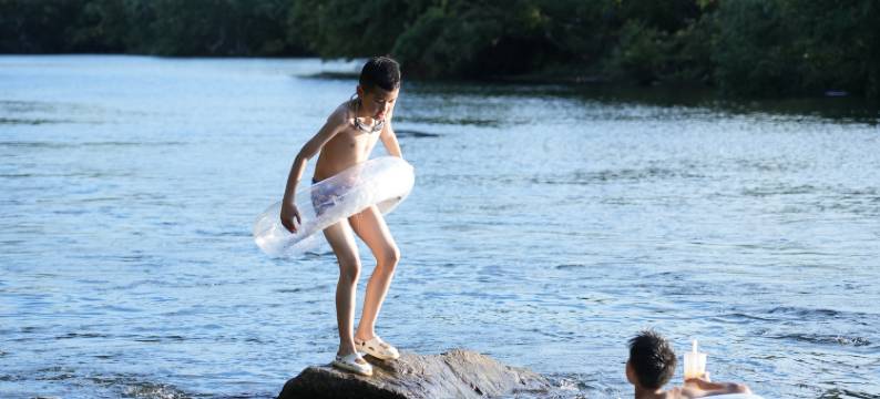 香遇·老樟树民宿图片