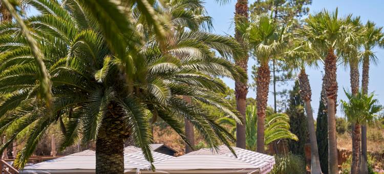 波尔图湾蓝色海洋酒店(PortoBay Blue Ocean)图片