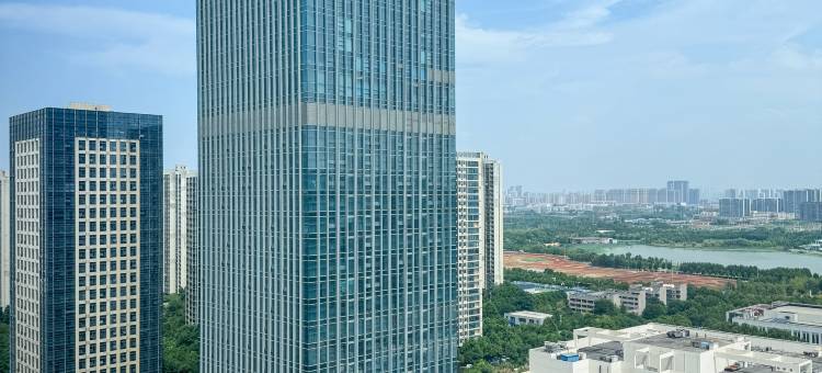 武汉江夏联投福朋喜来登酒店图片