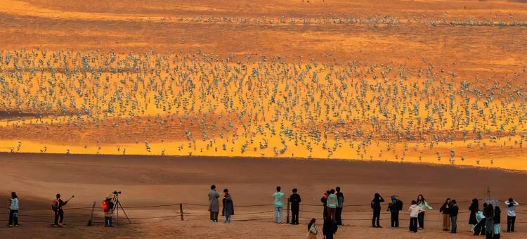 海天一色拾贝湾海景日出亲子酒店(鸽子窝碧螺塔店)图片