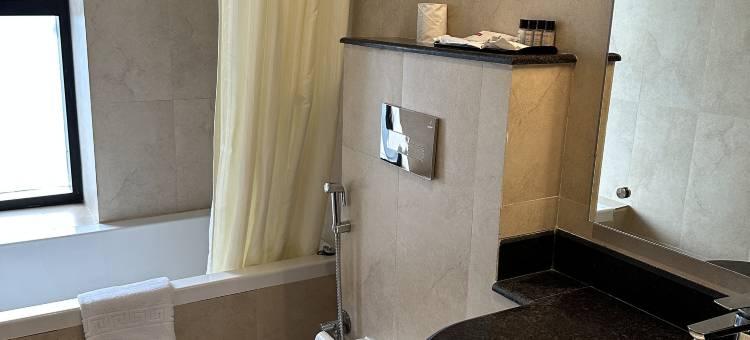 地标 博卡拉(Landmark Pokhara)图片