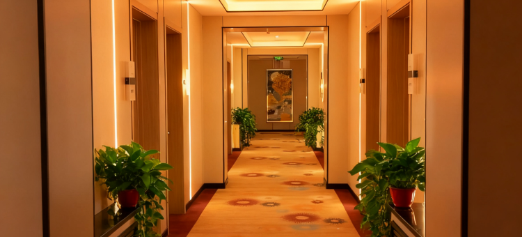 吕梁芒果精品酒店(体育馆店)图片