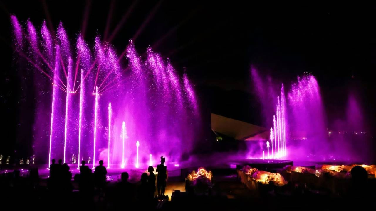 河源春沐源小镇·棕榈树酒店图片