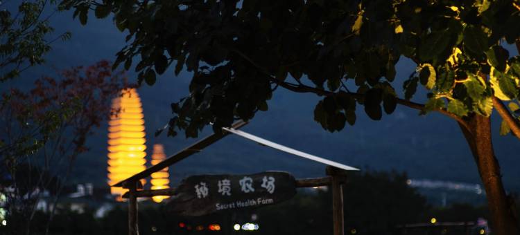 大理桃溪梦蝶秘境庄园图片