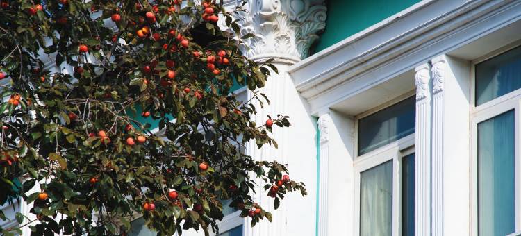 北京东四饭店(王府井协和医院店)图片