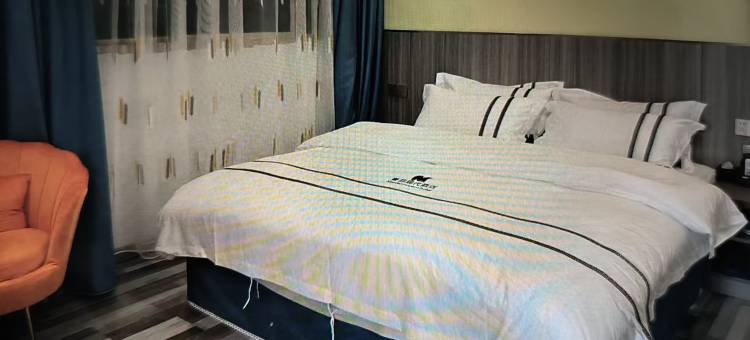 蔓菲现代酒店图片