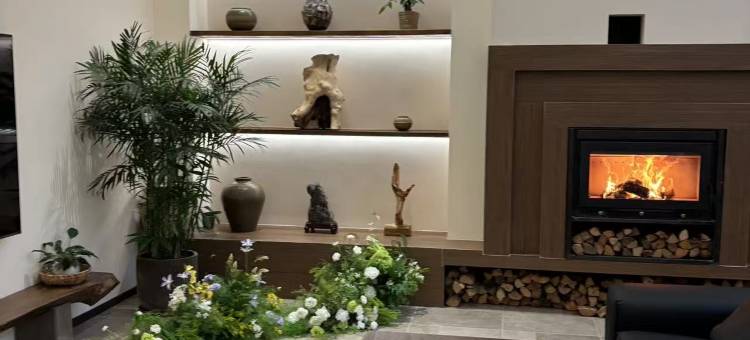 来看青山villa民宿(昭化古城店)图片