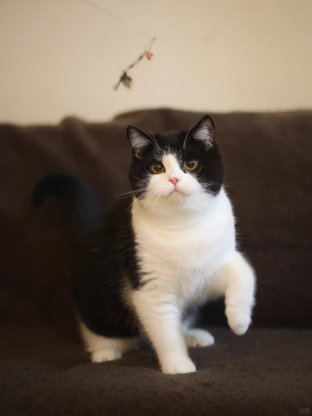 大理·大喜酒店(龙龛码头生态廊道店)图片