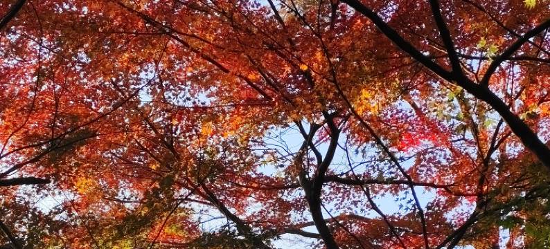 皇后饭店(莫干山风景区店)图片