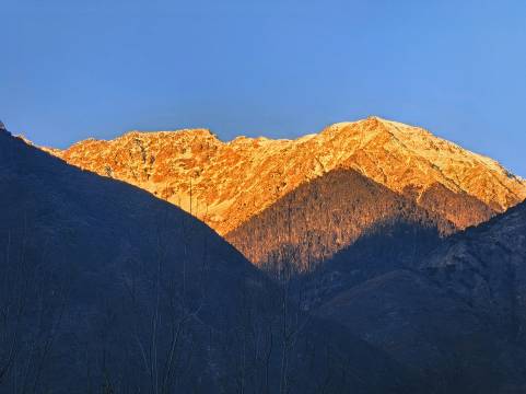 芒康云曲庄园酒店图片