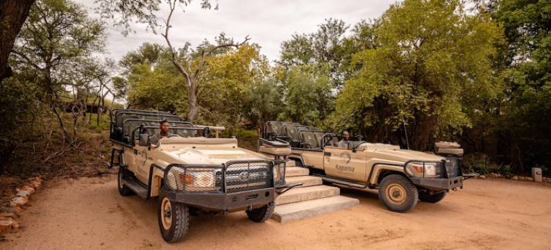 卡帕玛南营山林小屋(Kapama Southern Camp)图片