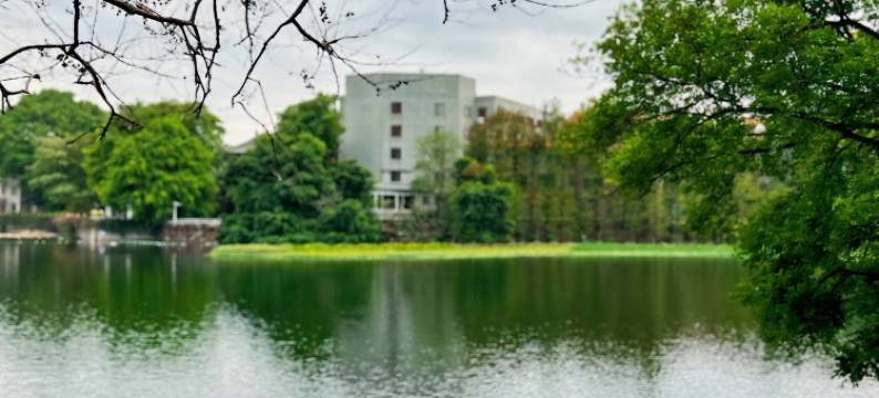 再遇海豚公寓(虹桥国家会展中心店)图片
