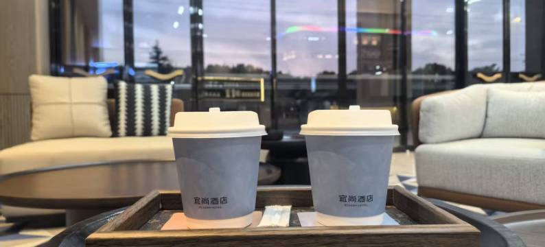 宜尚酒店(芜湖万春路方特乐园店)图片