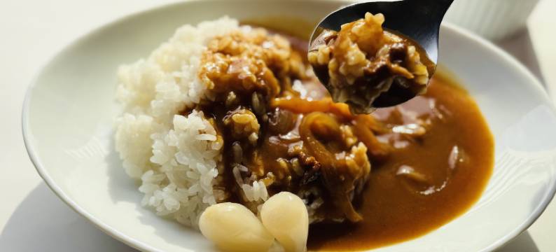 佐贺城酒店(Saga City Hotel)图片