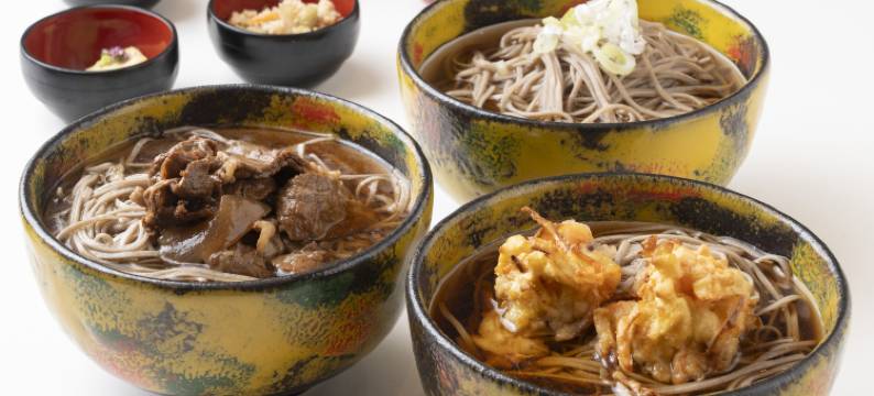 浅草别邸御宿野乃天然温泉酒店(多美迎・御宿野乃 酒店集团)(Onyado Nono Asakusa Bettei Hot Spring)图片