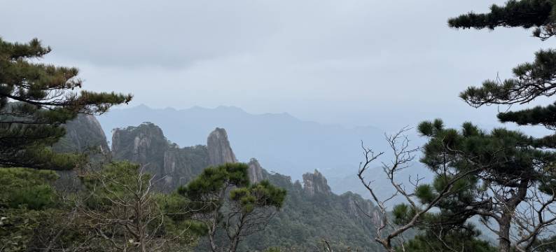 安麗酒店(咸宁站店)图片