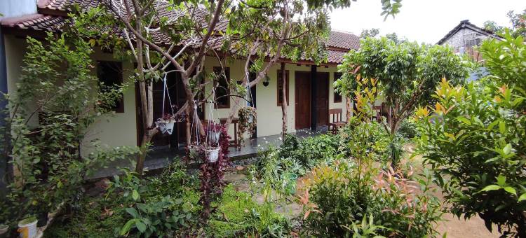 外南梦日出家庭旅馆(Banyuwangi Sunrise Homestay)图片