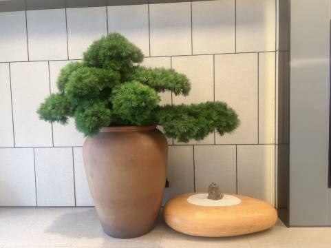 全季酒店(南昌八一广场青山湖西地铁站店)图片