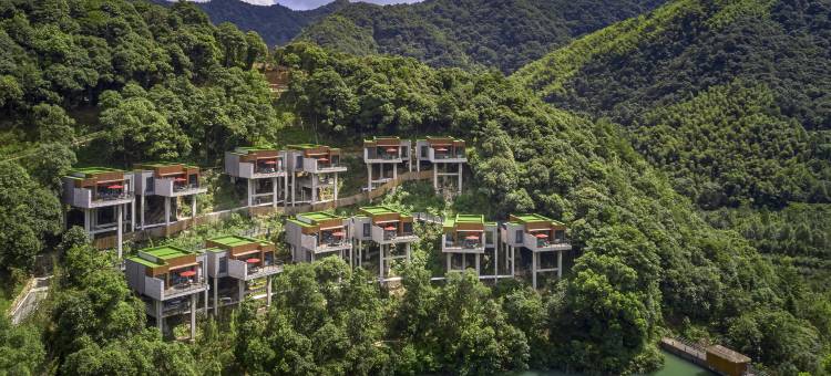 宁波宁海安岚图片