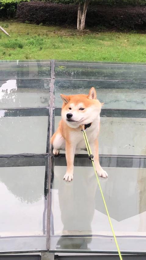 花筑·柒舍花园民宿(宜兴阳羡生态旅游度假区店)图片