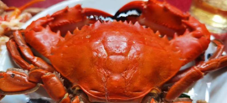 蓬莱观海楼酒店(蓬莱阁海水浴场店)图片