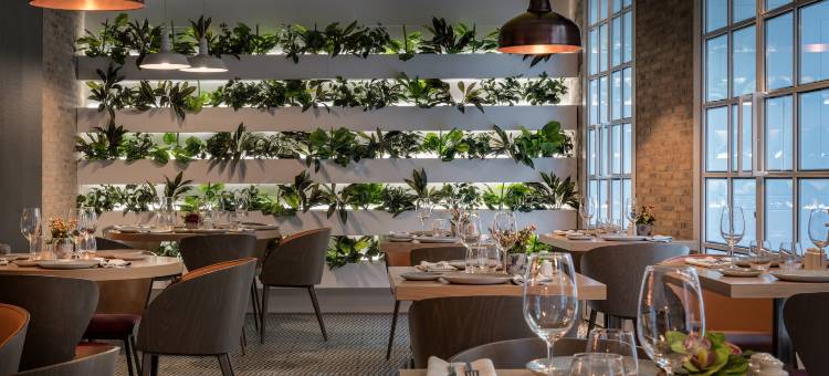 加泰罗尼亚格兰维亚马德里酒店(Hotel Catalonia Gran Via Madrid)图片