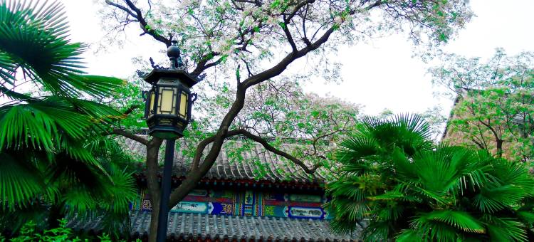 伊宁市归静民宿图片