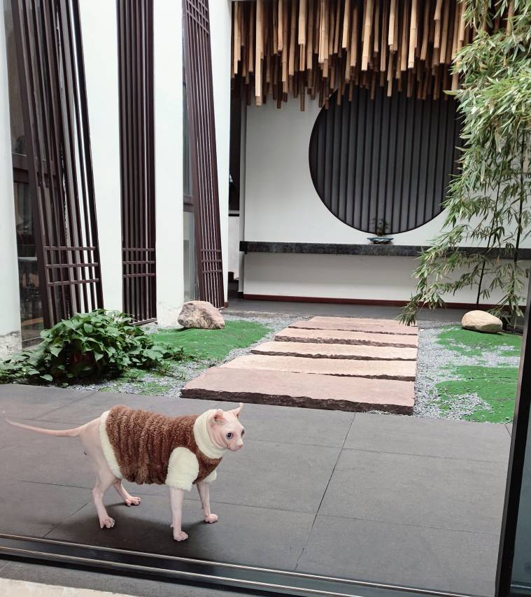 且慢·环山观景Life美宿(云台山岸上服务区店)图片