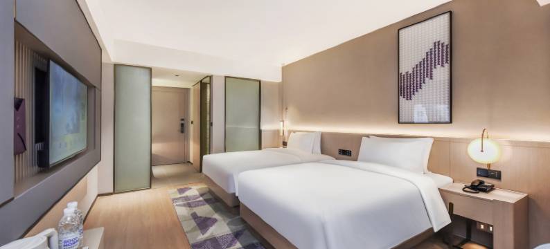 都江堰麗枫酒店(融创乐园熊猫谷店)图片