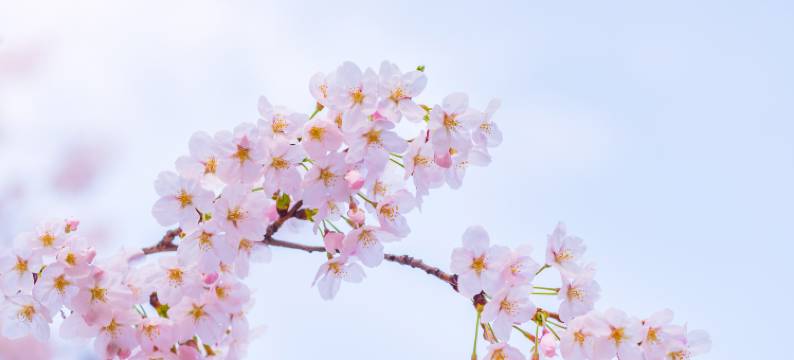 哈啰酒店(武汉动物园五里墩地铁站店)图片