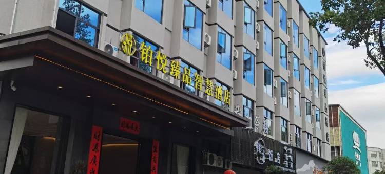 铂悦臻品智慧酒店图片