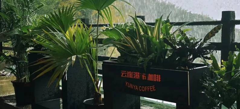 安吉乐逸·乡野溯溪垂钓·星空泳池度假民宿(龙王山漂流店)图片