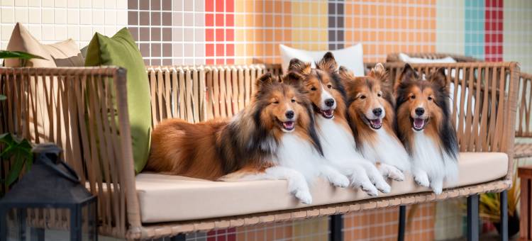 彩虹庄园会馆图片