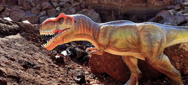 山里火星野营地(乌兰哈达火山店)图片